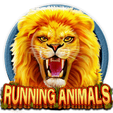 Running Animals