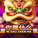 Ni Shu Shen Me